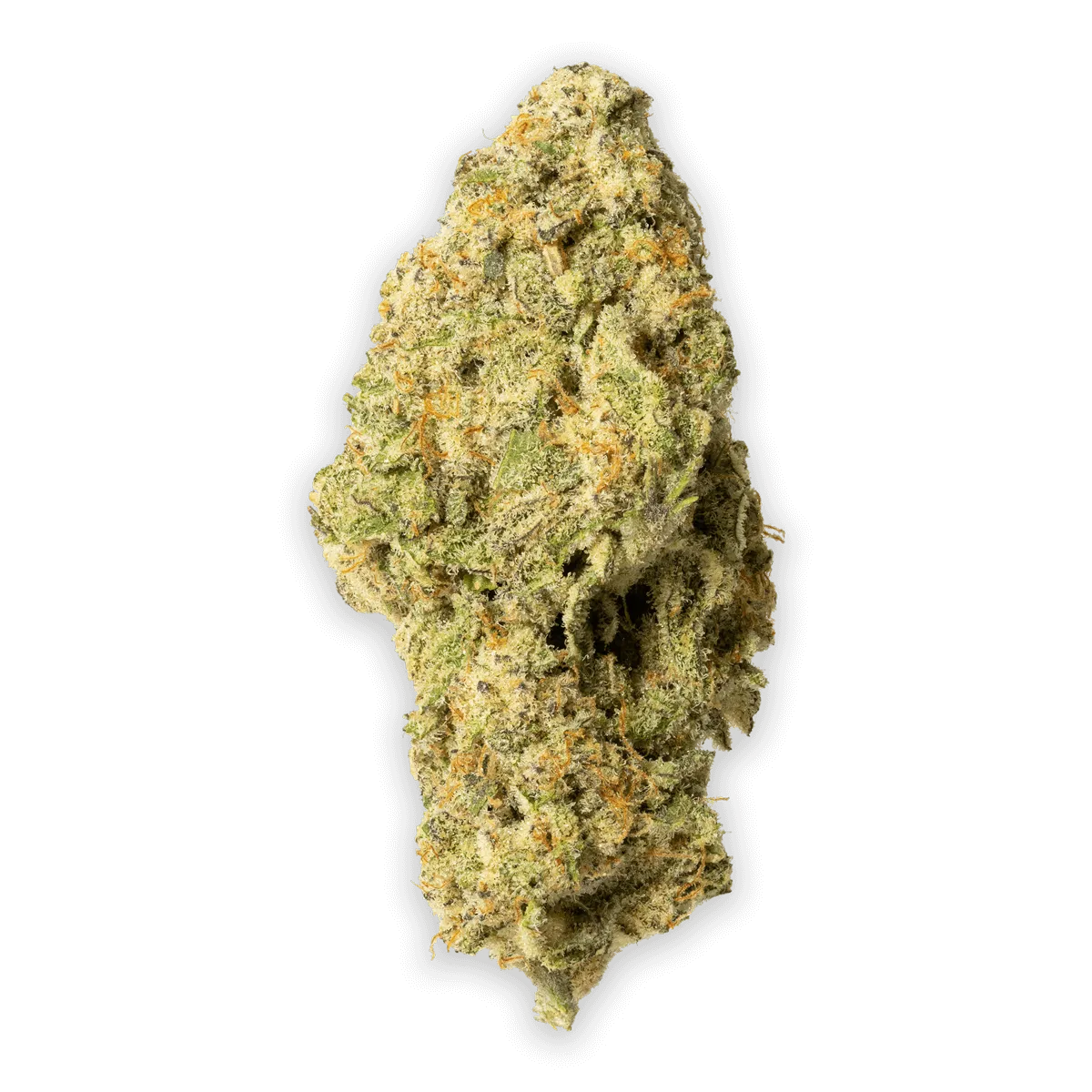 Alien Cookies