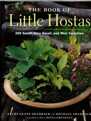 The Book of Little Hostas - Guest Shadrock Kathy - Shadrock Michael | Antikvariaatti Taide ja kirja | Osta Antikvaarista - Kirjakauppa verkossa