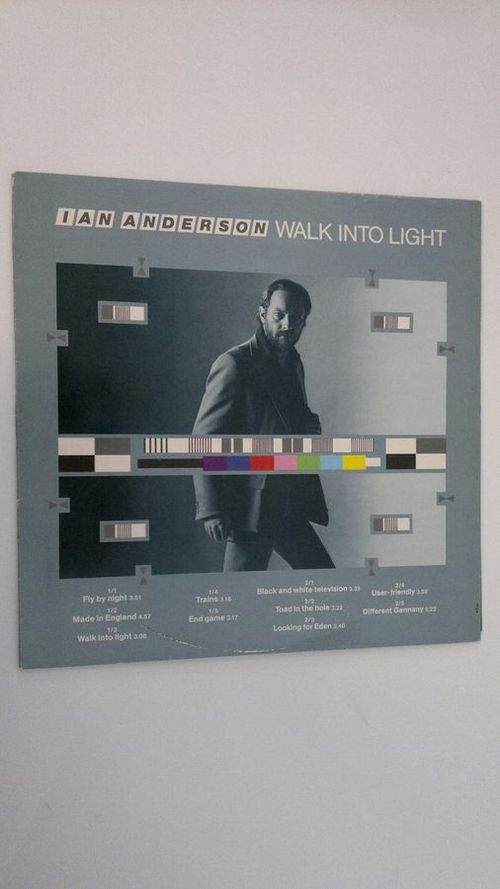 Walk Into Light - Anderson  Ian | Finlandia Kirja | Osta Antikvaarista - Kirjakauppa verkossa