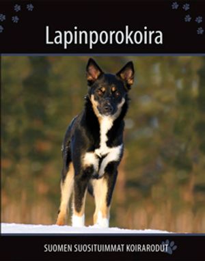 Lapinporokoira - Suomen suosituimmat koirarodut - Palukka Petra et al. |  Kirjamari Oy | Osta Antikvaarista - Kirjakauppa verkossa