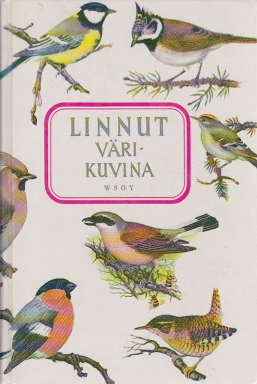 Linnut värikuvina - Voipio Manninen Lahti toim. | Ilkan kirja ay | Osta Antikvaarista - Kirjakauppa verkossa