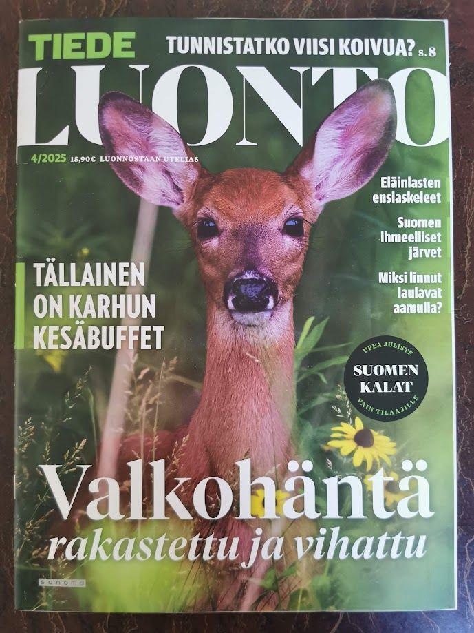 Tiede Luonto 4/2025: Jukka Ruukki (toim.) | QB Quality Books