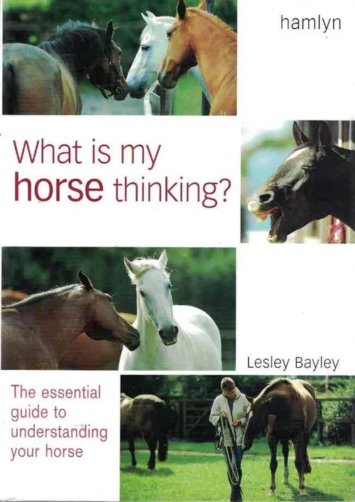 What is my horse thinking? The essential guide to understanding your horse - Bayley Lesley | Finn-Scholar - Tietokirjoja | Osta Antikvaarista - Kirjakauppa verkossa