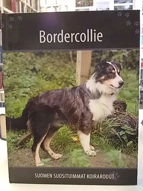 Bordercollie - Suomen suosituimmat koirarodut | Antikvaarinen Kirjakauppa Tessi | Osta Antikvaarista - Kirjakauppa verkossa