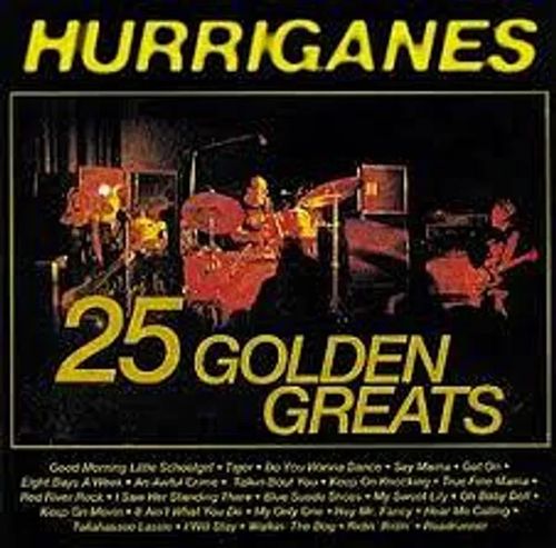 25 Golden Greats - Hurriganes | Antikvariaatti Feliks | Osta Antikvaarista - Kirjakauppa verkossa