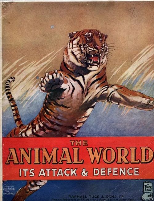 The Animal World - Its Attack & Defence - Ennion E. A. R. | Antikvariaatti Taide ja kirja | Osta Antikvaarista - Kirjakauppa verkossa
