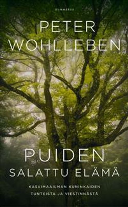 Puiden salattu elämä - Kasvimaailman kuninkaiden tunteista ja viestinnästä - Wohlleben Peter | Divari & Antikvariaatti Kummisetä | Osta Antikvaarista - Kirjakauppa verkossa