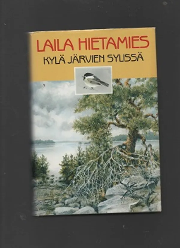 Kylä järven sylissä - Hietamies Laila | Antikvaarinen kirjakauppa T. Joutsen | Osta Antikvaarista - Kirjakauppa verkossa