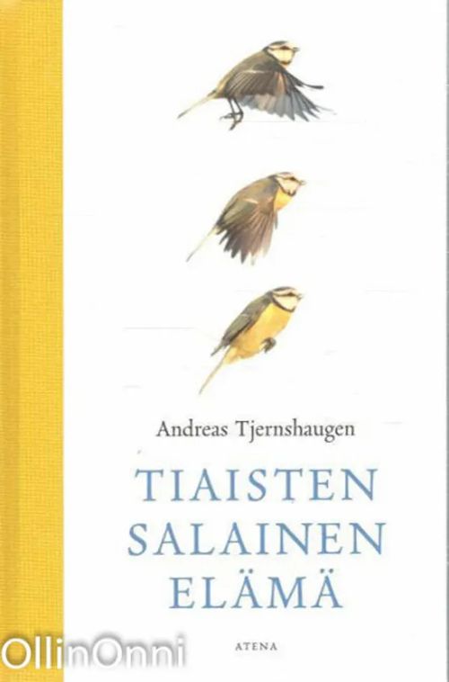 Tiaisten salainen elämä - Andreas Tjernshaugen | OllinOnni Oy | Osta Antikvaarista - Kirjakauppa verkossa