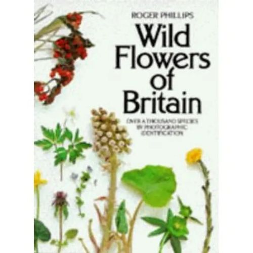 Wild Flowers of Britain - Phillips Roger | Helsingin Antikvariaatti | Osta Antikvaarista - Kirjakauppa verkossa