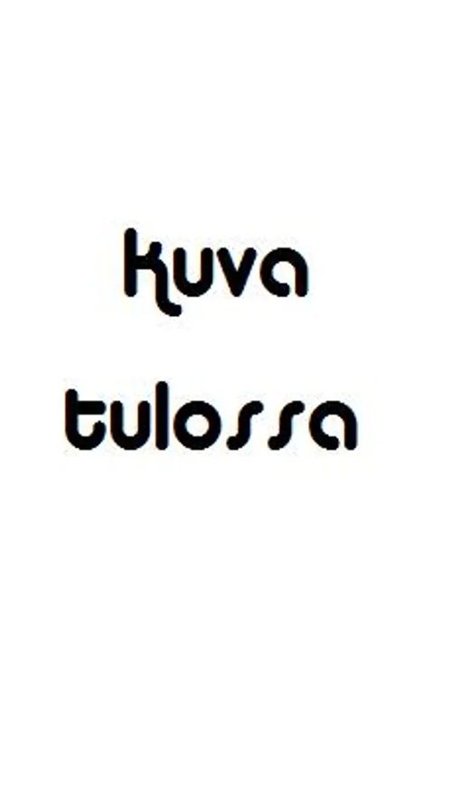 Russkie Monastyri: Iskusstvo I Traditsii [ Venäjän luostarit : taide ja perinteet ] - Laks Anna (toim.) | Helsingin Antikvariaatti | Osta Antikvaarista - Kirjakauppa verkossa