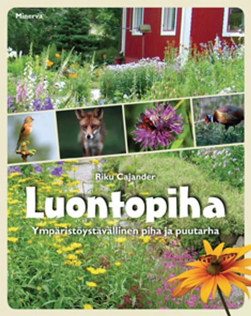 Luontopiha - Ympäristöystävällinen piha ja puutarha - Cajander Riku | Antikvariaatti Taide ja kirja | Osta Antikvaarista - Kirjakauppa verkossa