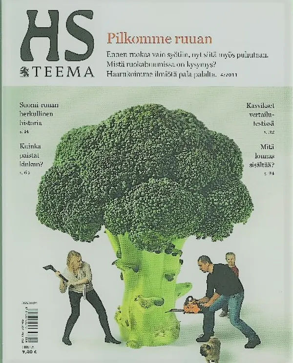 HS Teema 4/2011 Ruoka - : | Eevan nettidivari | Osta Antikvaarista - Kirjakauppa verkossa