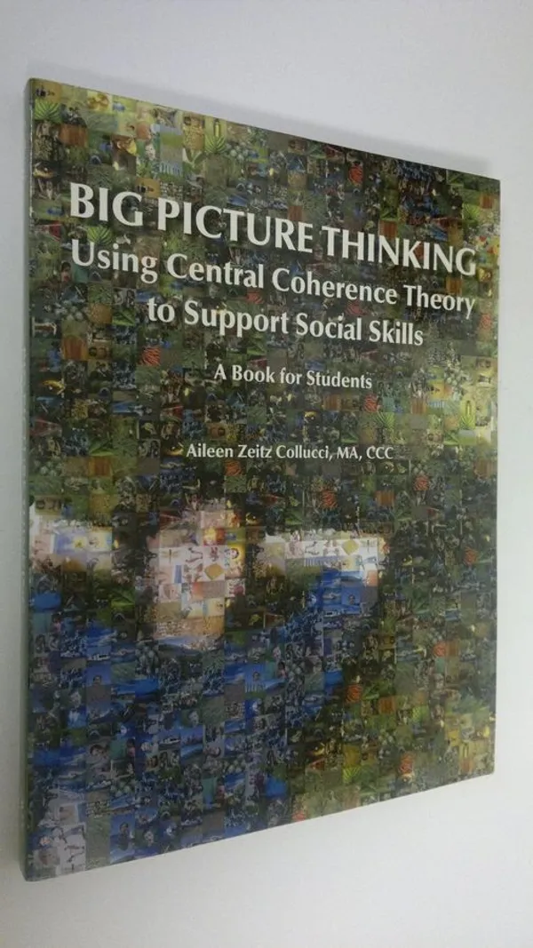 Big Picture Thinking : Using central coherence theory to support social skills (ERINOMAINEN) - Collucci, Aileen Zeitz | Antikvaari - kirjakauppa verkossa