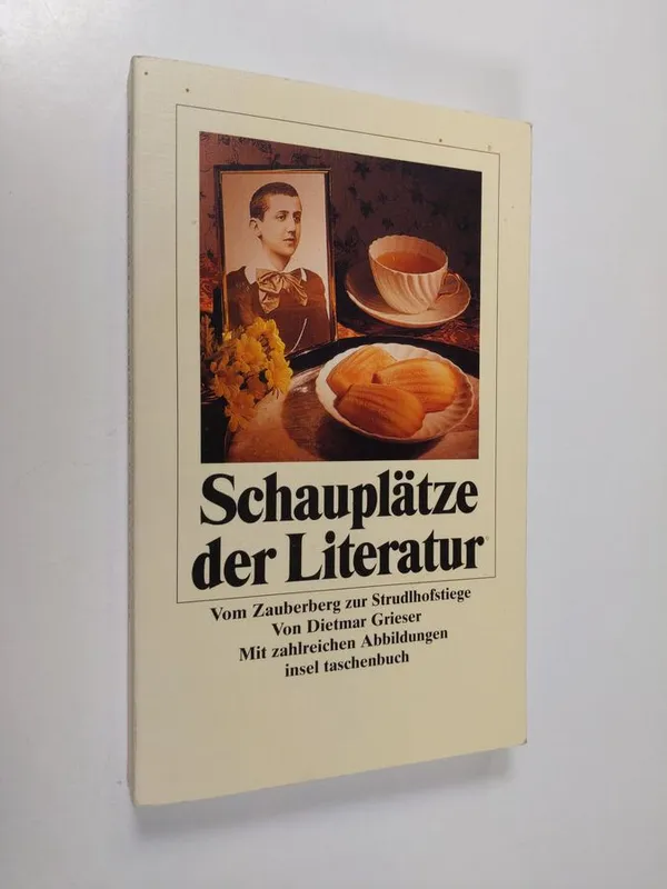 Schauplätze der Literatur : vom Zauberberg zur Strudlhofstiege: Grieser Dietmar | Finlandia Kirja