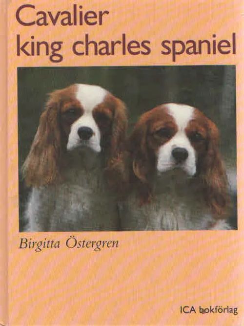 Cavalier king charles spaniel - Östergren Birgitta | Antikvaarinen Kirjakauppa Kvariaatti | Osta Antikvaarista - Kirjakauppa verkossa