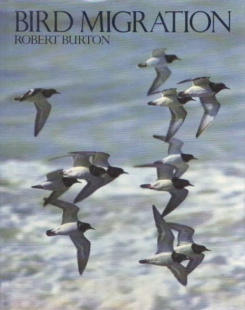 Bird Migration - Burton Robert | Antikvaarinen Kirjakauppa Kvariaatti | Osta Antikvaarista - Kirjakauppa verkossa