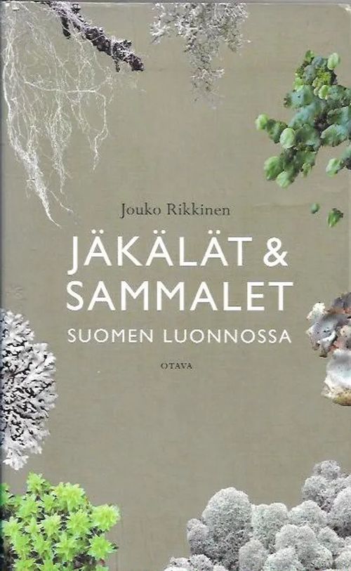 Jäkälät ja sammalet Suomen luonnossa - Rikkinen Jouko | Antikvariaatti Vihreä Planeetta | Osta Antikvaarista - Kirjakauppa verkossa