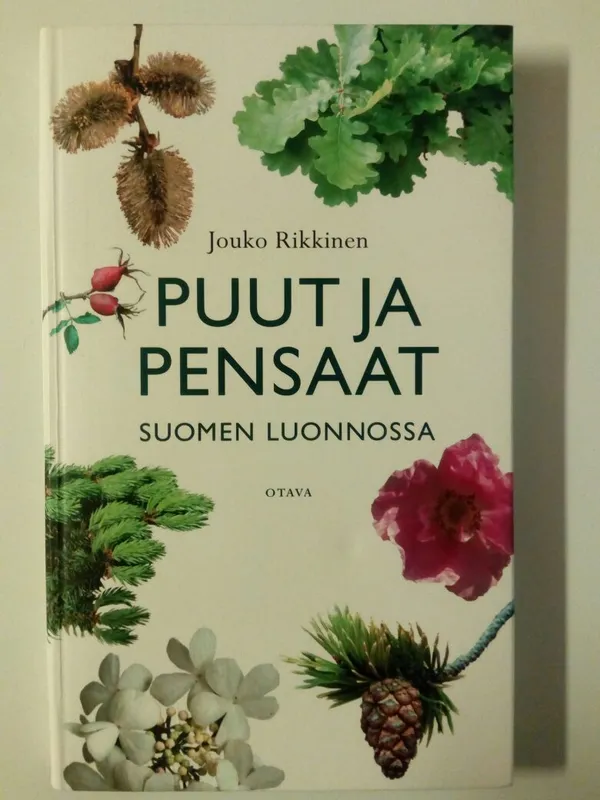 Puut ja pensaat Suomen luonnossa - Rikkinen Jouko | Antikvaarinen  kirjakauppa Aikakirjat | Osta Antikvaarista - Kirjakauppa verkossa