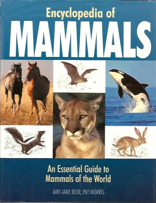 Encyclopedia of Mammals - Beer Amy-Jane - Morris Pat | Iki-pop | Osta Antikvaarista - Kirjakauppa verkossa