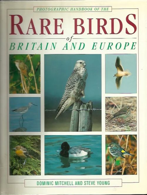 Photographic Handbook of The Rare Birds of Britain and Europe - Mitchell Dominic - Young Steve | Iki-pop | Osta Antikvaarista - Kirjakauppa verkossa