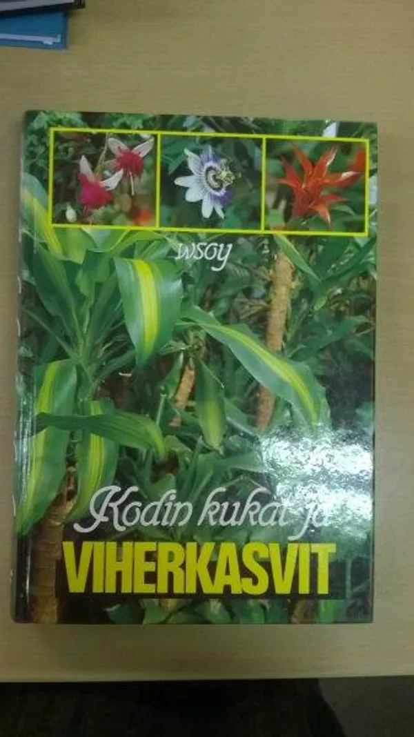 Kodin kukat ja viherkasvit | Divari Kaleva