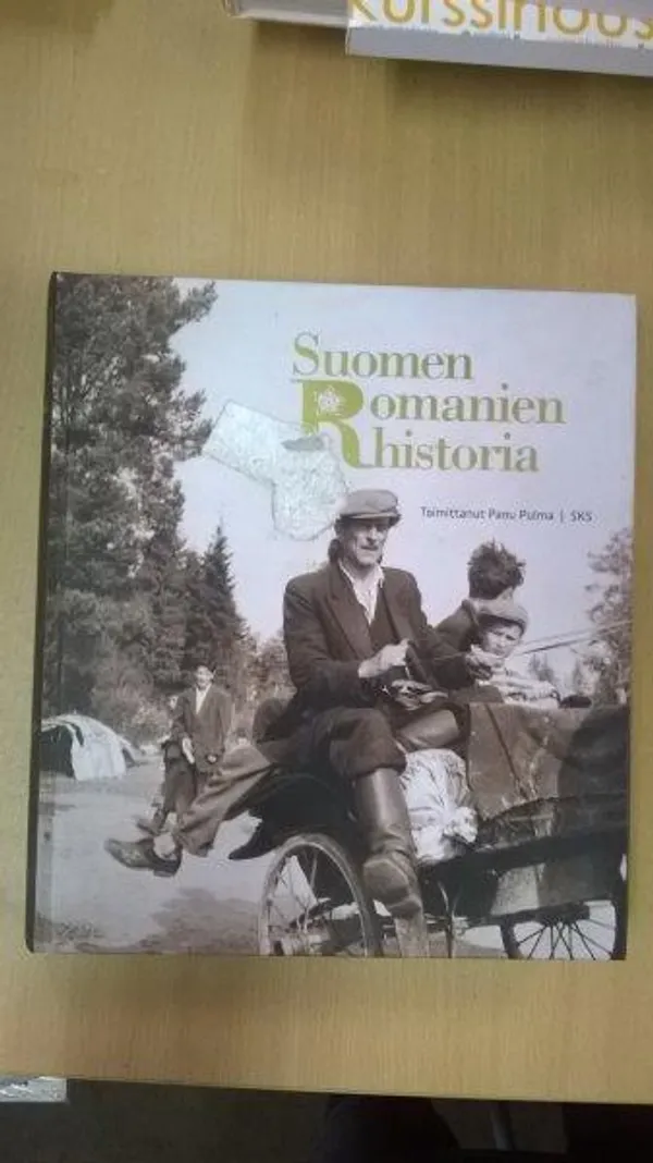 Suomen romanien historia - Pulma Panu | Divari Kaleva | Osta Antikvaarista - Kirjakauppa verkossa