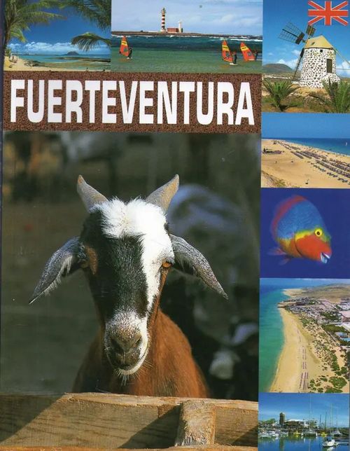 Tourist guide Fuerteventura | Vilikka Oy | Osta Antikvaarista - Kirjakauppa verkossa