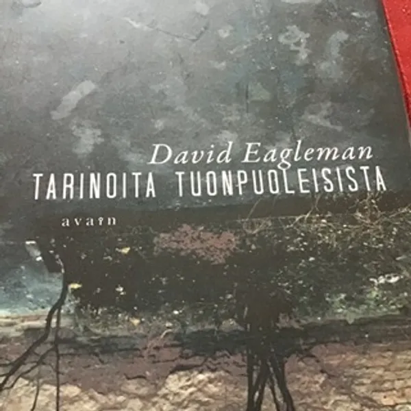 Tarinoita tuonpuoleisista - Eagleman David | Aseman divari | Osta Antikvaarista - Kirjakauppa verkossa