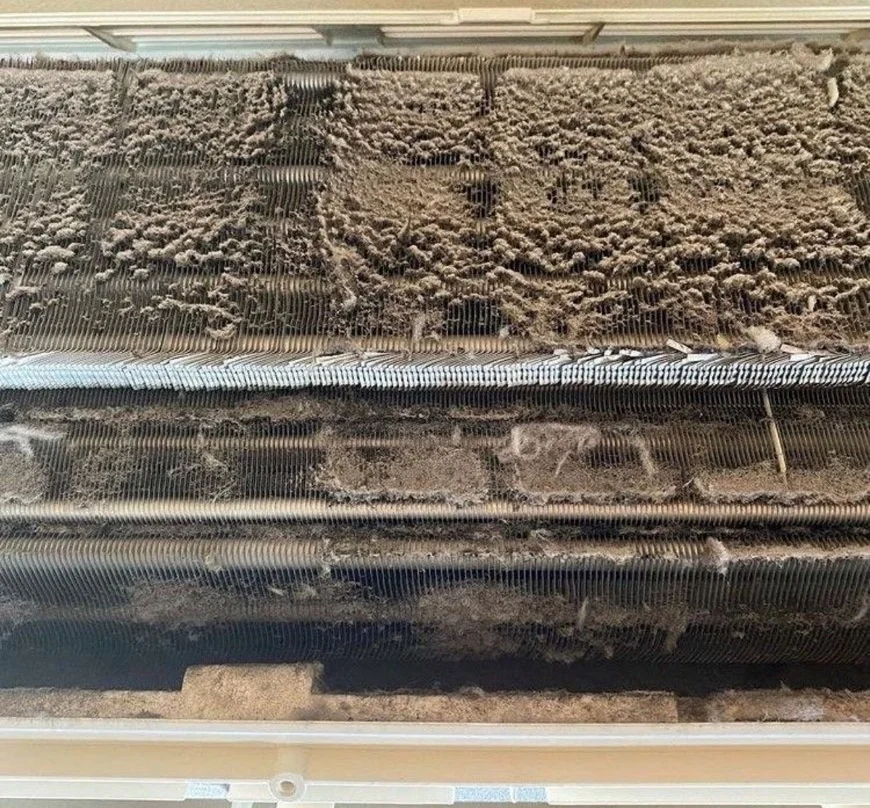 S__138649616_0