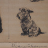 AN ORIGINAL AMERICAN ETCHING DOG BY DIANA THORNE PIC-5