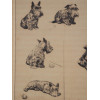 AN ORIGINAL AMERICAN ETCHING DOG BY DIANA THORNE PIC-2