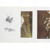 BOOK FOUR SEASONS 12 REPRODUCTIONS ANDREW WYETH PIC-4