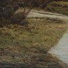 AN OIL PAINTING OF A RIVER AND WOODS EARLY 20TH C PIC-2
