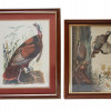 A PAIR OF ANTIQUE 19TH C. PRINTS WITH BIRDS PIC-0
