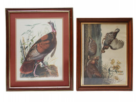 A PAIR OF ANTIQUE 19TH C. PRINTS WITH BIRDS