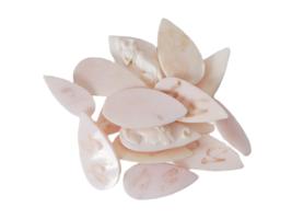 COLLECTION OF FEMALE PORTRAIT CARVED CORAL CAMEOS