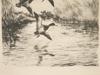 ROLAND CLARK AMERICAN ETCHING A FLOCK OF DUCKS PIC-3