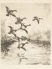 ROLAND CLARK AMERICAN ETCHING A FLOCK OF DUCKS PIC-1