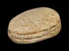 ANCIENT EGYPTIAN LATE PERIOD STEATITE SCARAB BEAD PIC-4