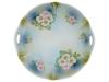ANTIQUE GERMAN BAVARIAN PORCELAIN CABINET PLATE PIC-0