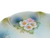 ANTIQUE GERMAN BAVARIAN PORCELAIN CABINET PLATE PIC-6
