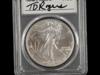 2021 AMERICAN SILVER EAGLE $1 COIN FIRST DAY OF ISSUE PIC-2
