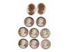 COLLECTION OF TEN HAND CARVED MOTHER OF PEARL CAMEOS PIC-0