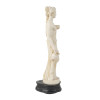 VINTAGE COMPOSITE STATUE HEBE IN NEOCLASSIC STYLE PIC-2