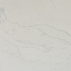 AN AMERICAN ETCHING NUDE BY GORDON COOK PIC-1