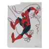 2 SPIDER-MAN PAINTINGS SIGNED BY HECTOR HERNANDEZ PIC-1