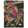 2 SPIDER-MAN PAINTINGS SIGNED BY HECTOR HERNANDEZ PIC-2