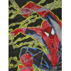 2 SPIDER-MAN PAINTINGS SIGNED BY HECTOR HERNANDEZ PIC-4