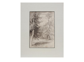 A RUSSIAN PENCIL PAINTING PINES BY ISAAC LEVITAN